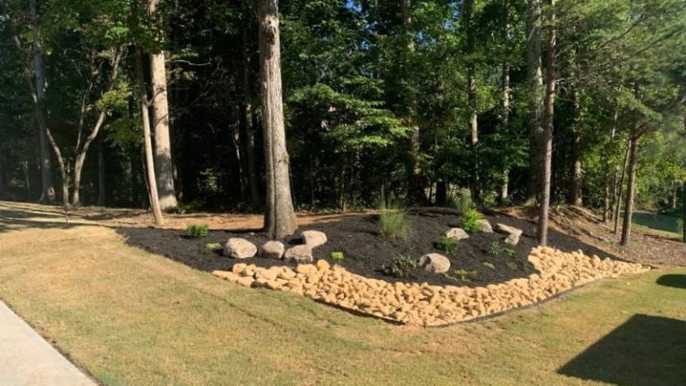 Popular Softscape Landscaping Ideas