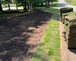 Photo Of New Lawn Installation By GCO Landscape