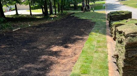 lawn-installation