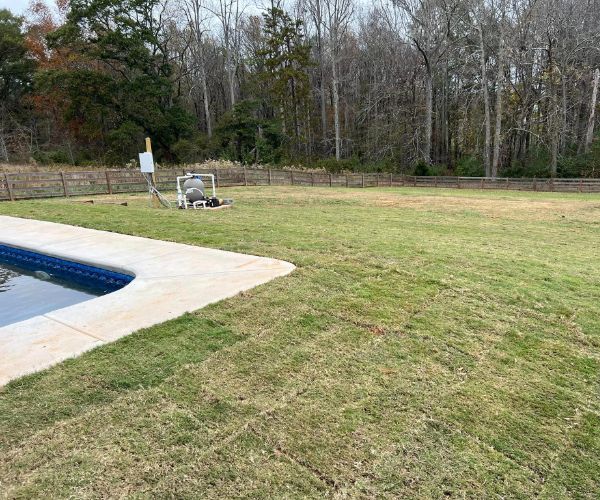 new-lawn-1